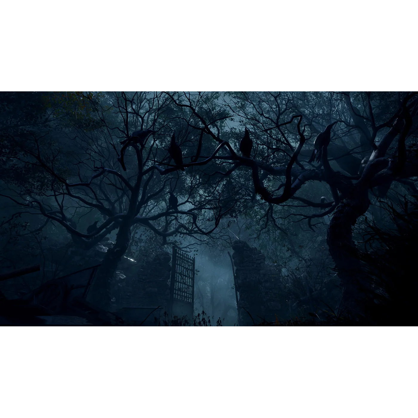 Thumbnail 13